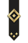 Cadet rank insignia