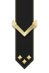 Private rank insignia
